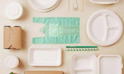 Envases y embalajes biodegradables: un nuevo paso para sustituir al plástico