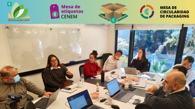 Mesas de trabajo de CENEM refuerzan coordinación y desafíos 2026